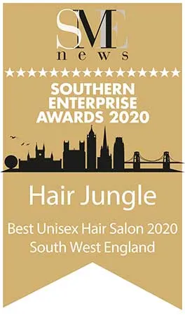 Southern Enterprise Awards 2020 Winners Logo